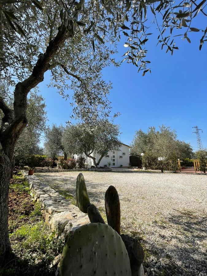 Villa Dama Cisternino Exterior foto