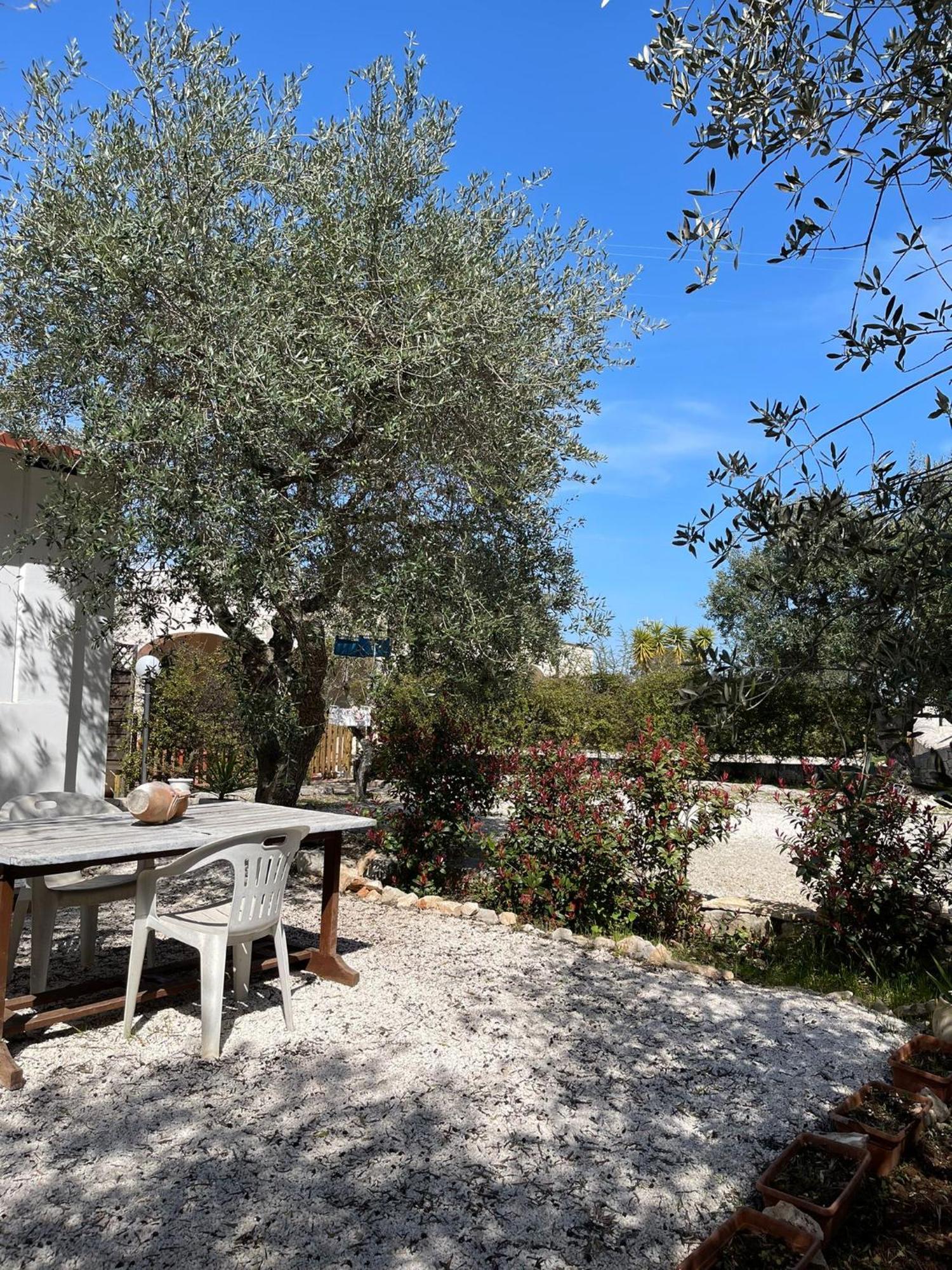Villa Dama Cisternino Exterior foto